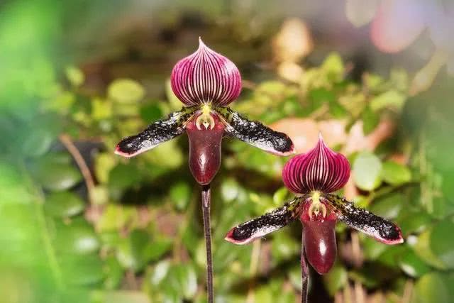 三亿体育:“开箱验货”应成快递安检的标配(图1) 三亿体育官网