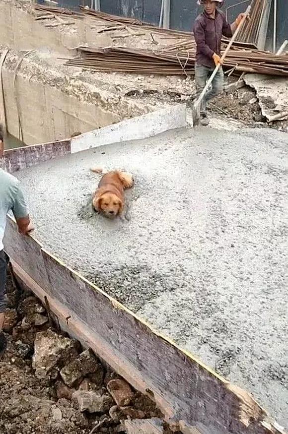 三亿体育手机版