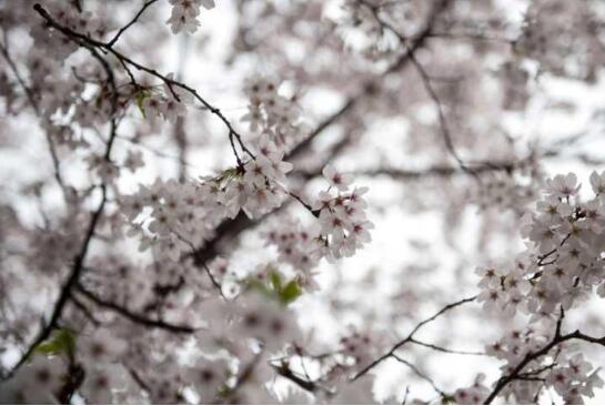 捍卫英雄,校准我们的“精神罗盘”-三亿体育(图1) 三亿体育官网