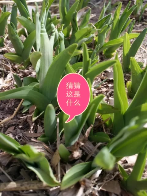 三亿体育:广汽丰田第三工厂明年1月投产 首批生产C-HR(图1) 三亿体育手机版