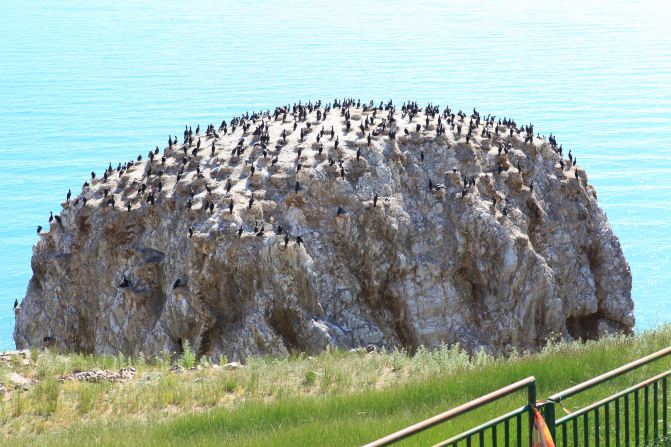 三亿体育|镇原县牛产业让群众日子牛起来(图2) 三亿体育