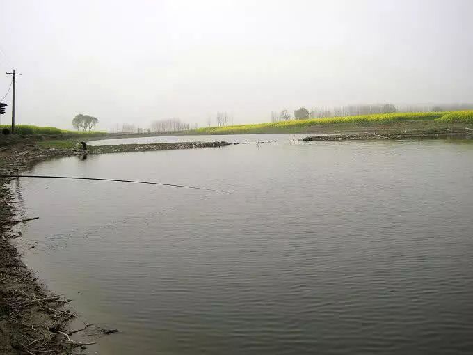 全面建设社会主义现代化国家【三亿体育手机版】(图1) 三亿体育手机版