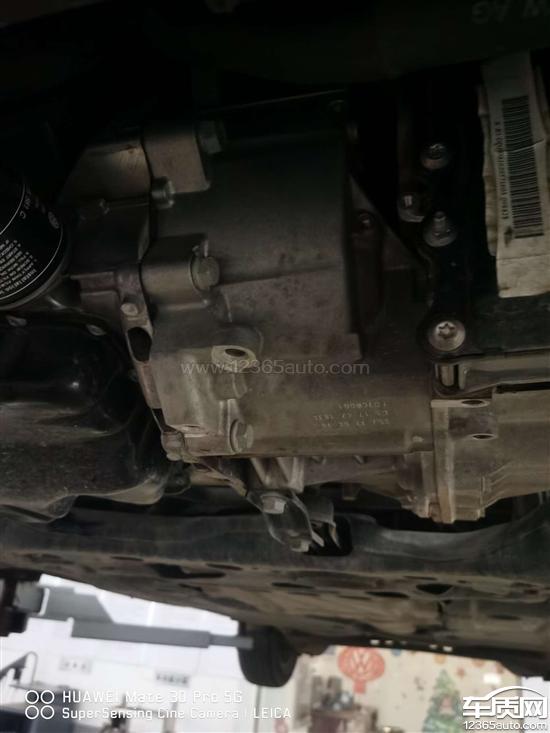 石金钱龟幼苗的饲养管理技术“三亿体育手机版”(图1) 三亿体育官网