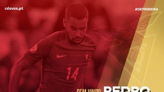 三亿体育手机版