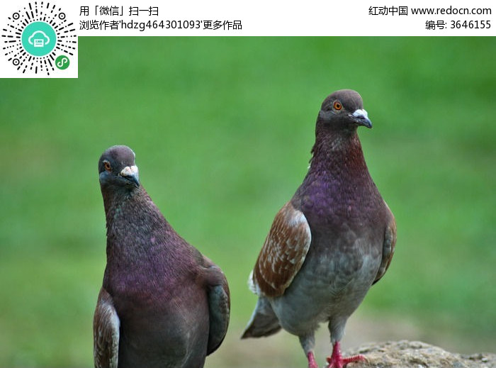 三亿体育手机版