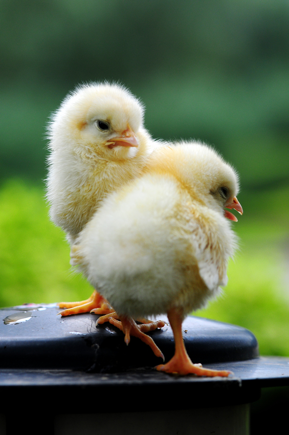 三亿体育手机版