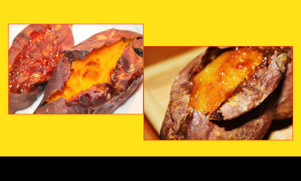 “三亿体育官网”张家界(图4) 三亿体育手机版