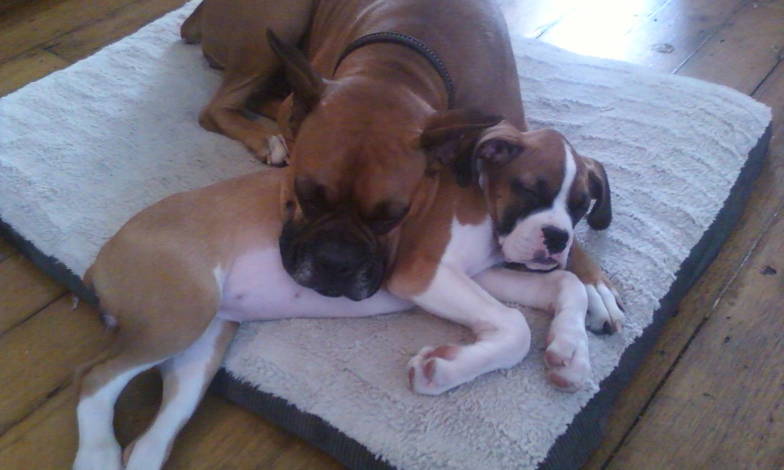 三亿体育手机版