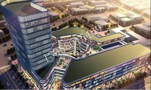 三亿体育手机版