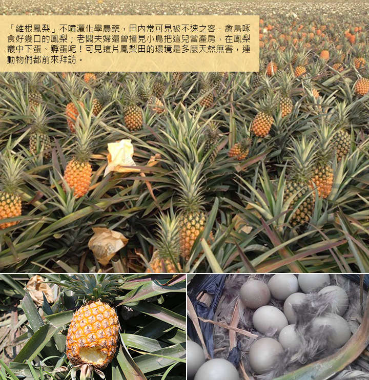 闽东大黄鱼“游”进浙商所‘三亿体育’(图4) 三亿体育官网