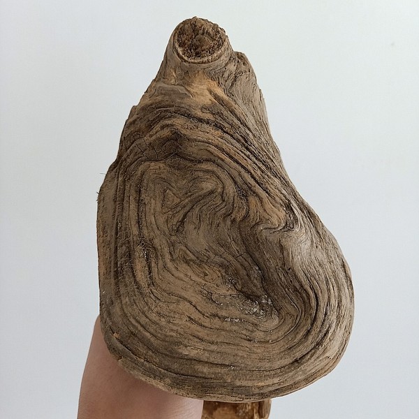 三亿体育手机版|Qtum量子链发布全新难度调整算法,QIP(图1) 三亿体育