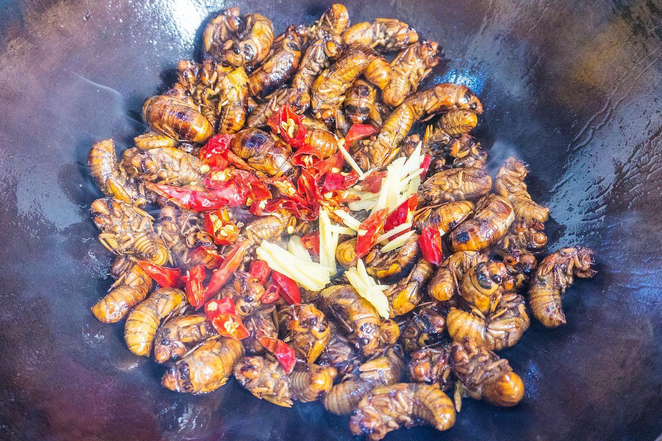 摄像头成直播机呼唤监管发力“三亿体育官网”(图2) 三亿体育官网