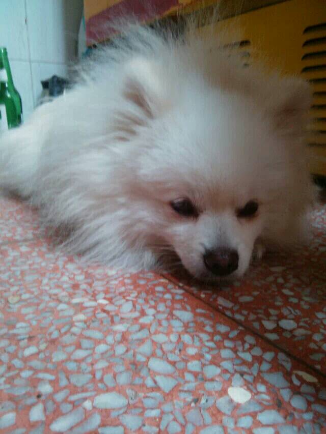 三亿体育手机版