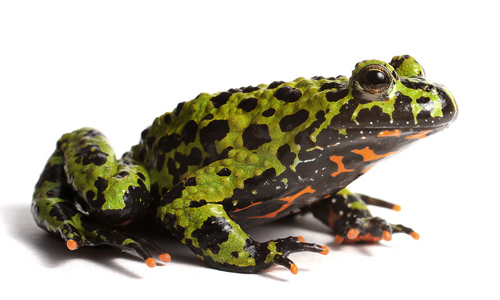 三亿体育手机版