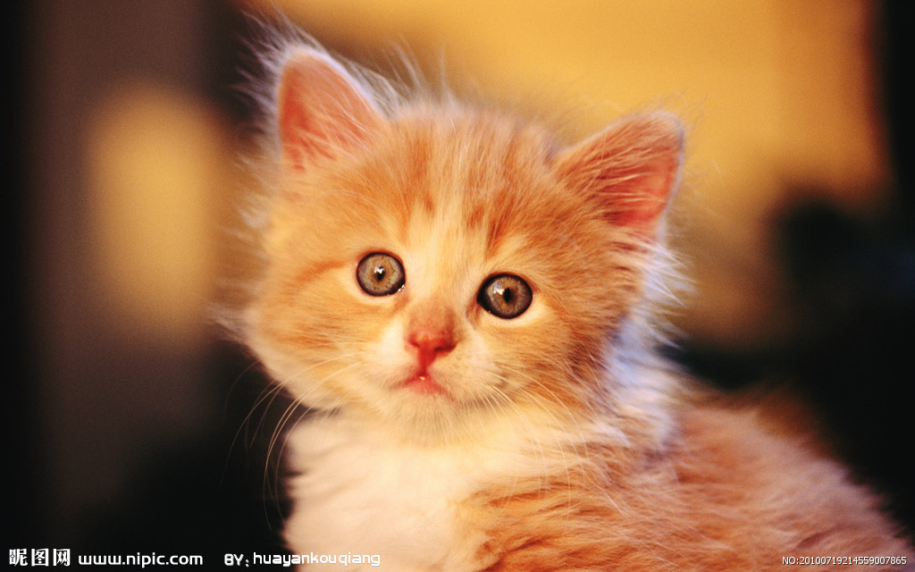 三亿体育手机版