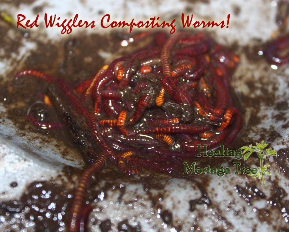 世界最佳汽车品牌排行 丰田汽车再次摘冠‘三亿体育’(图4) 三亿体育