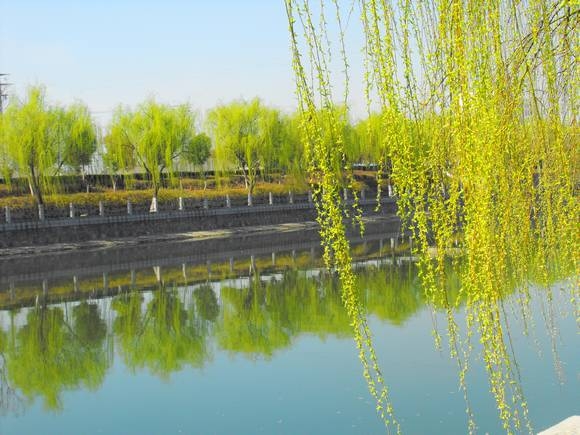 三亿体育手机版