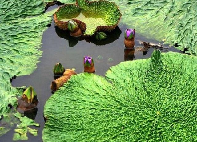 三亿体育手机版