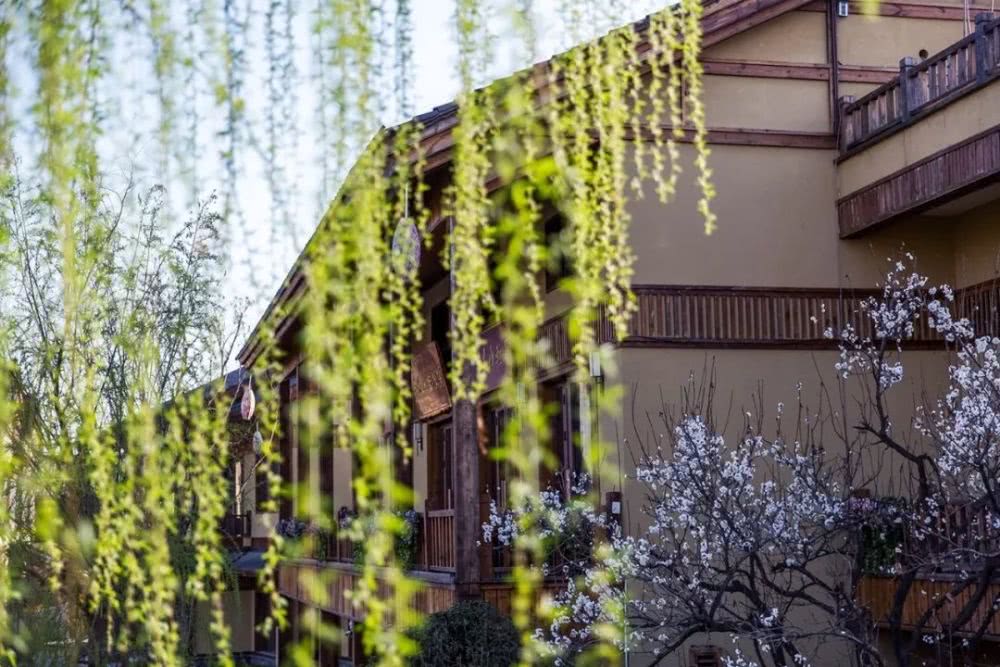 “三亿体育手机版”小雪是农历几月几日?小雪节气的含义及天气特点(图2) 三亿体育手机版