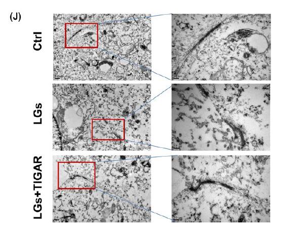 浦江儿女天山情(第八章93)“三亿体育手机版”(图1) 三亿体育官网