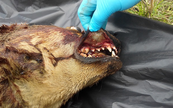 “三亿体育官网”猥亵女大学生,不能以“解聘”画上句话(图2) 三亿体育