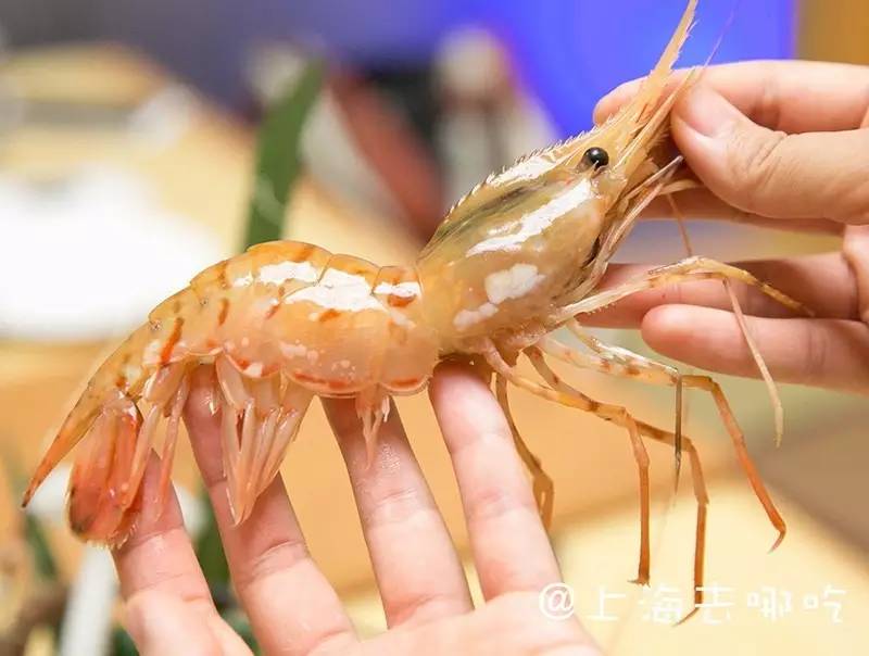 三亿体育手机版