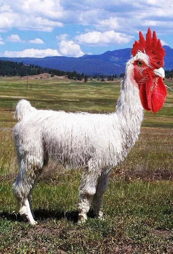 三亿体育|一线城市常住人口下降未必是坏事(图1) 三亿体育官网