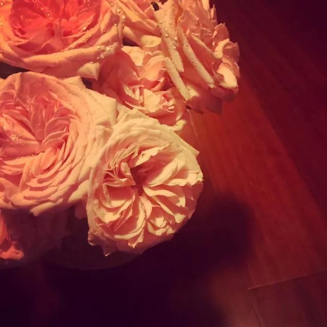 “救命药”降价也要呼唤“中国速度”“三亿体育”(图1) 三亿体育手机版