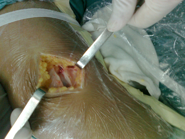 三亿体育手机版